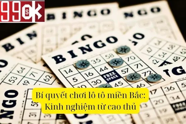 Hướng Dẫn Chơi Lô Tô Miền Bắc: Từ A Đến Z Cho Người Mới Bắt Đầu