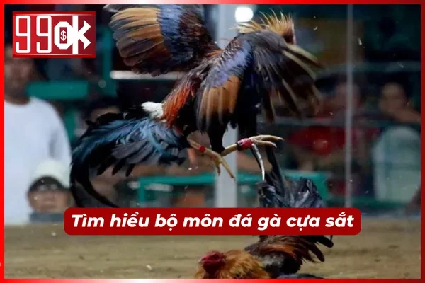 Khám phá sơ lược về đá gà cựa sắt