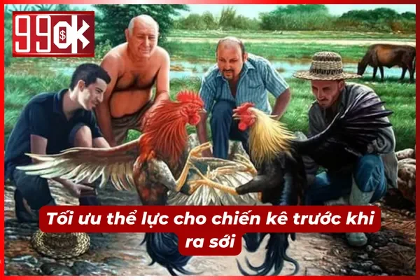 Chế độ chăm sóc đặc biệt dành cho gà đá cựa sắt